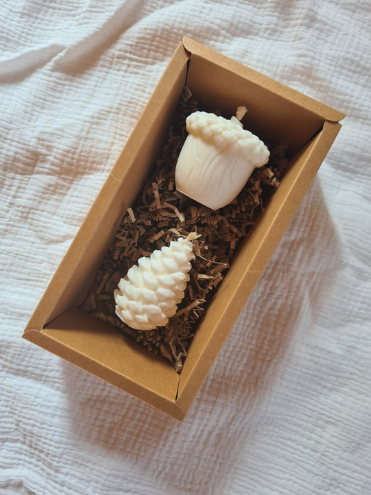 Coffret Automne