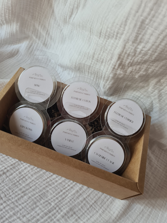 Coffret Panaché Instant Délicat – 6 fondants parfumés artisanaux (40 g chacun)